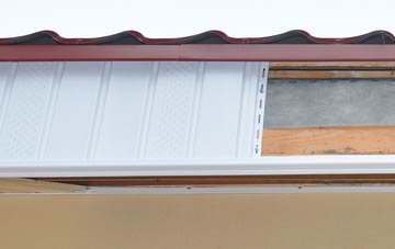 Lethenty fascia repair costs