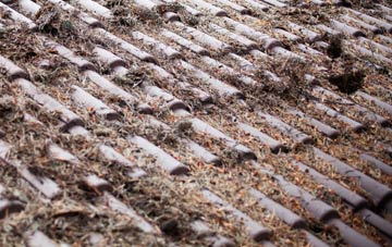 Lethenty roof cleaning companies